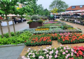 Voorjaarsmarkt Twello