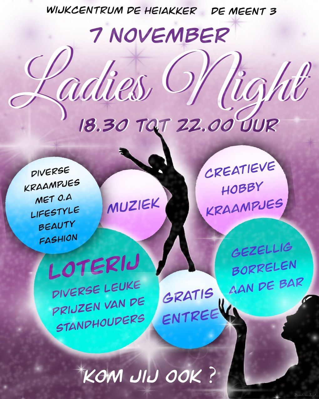 Affiche Ladies Night