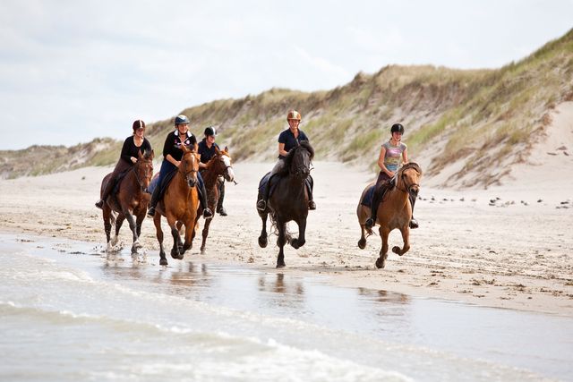 Paarden in galop op strand vanaf zee gezien
