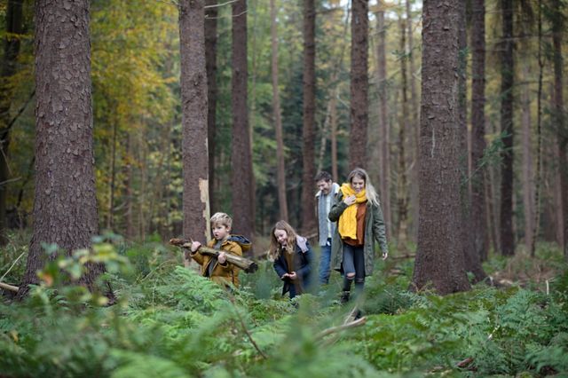 Gezin samen genietend in de Drentse bossen.