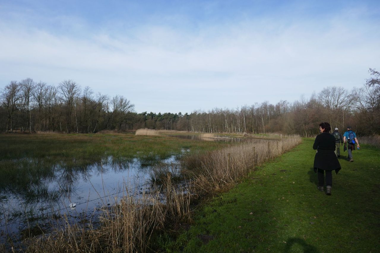 Natuurgebied tussen Grijze Steen en Neterselse Heide