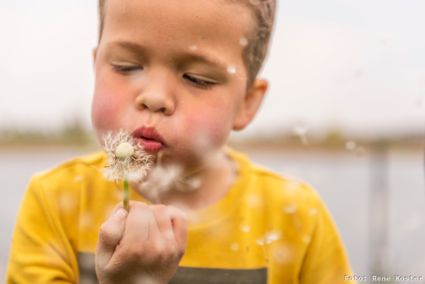 Jongetje blaast op een paardenbloem