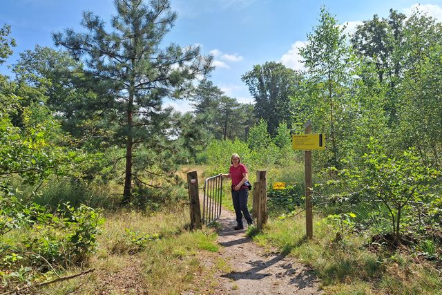 Boswachter Ellen loopt doormiddel van het klaphek het bos uit