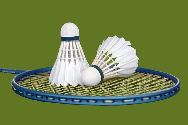 Badminton - close-up van racket met daarop 2 shuttles