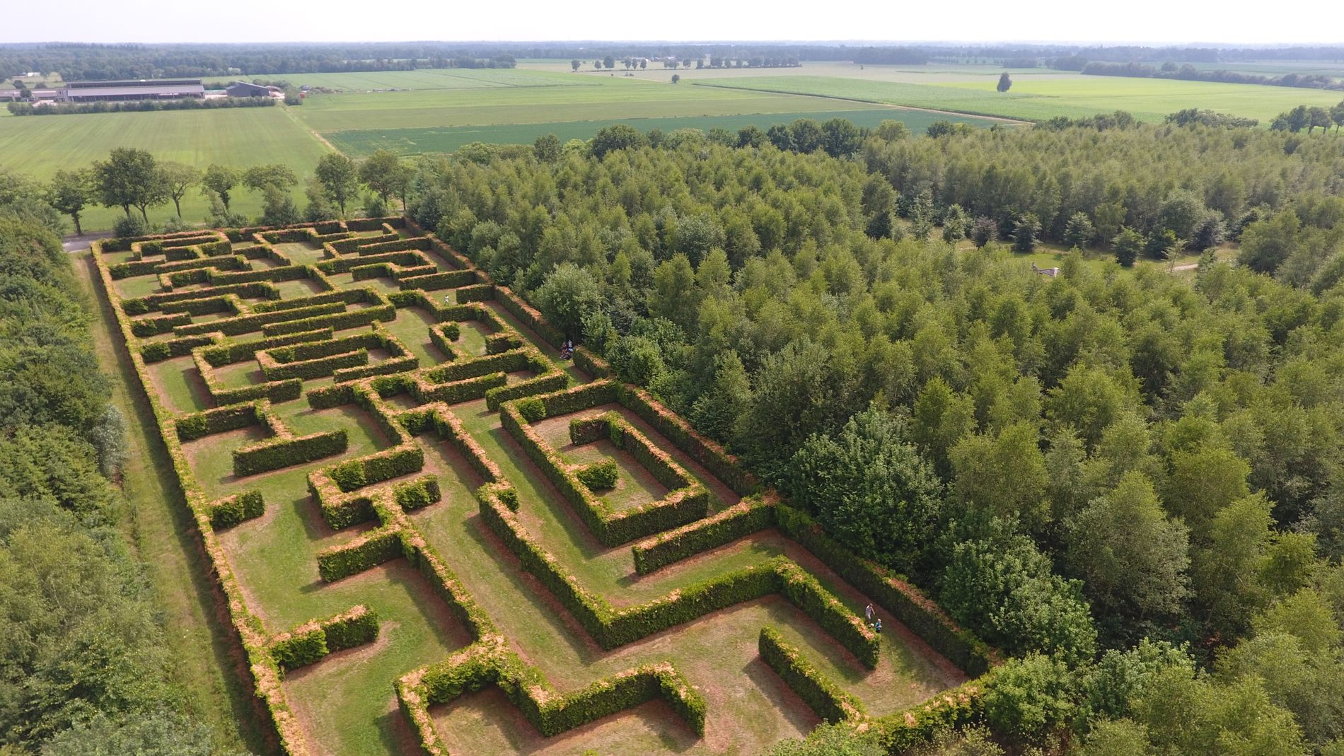 Doolhof bovenaanzicht