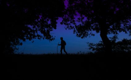 Nachtwandeling tijdens Nacht van de Nacht