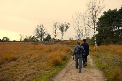 Wandelaars in de herfst