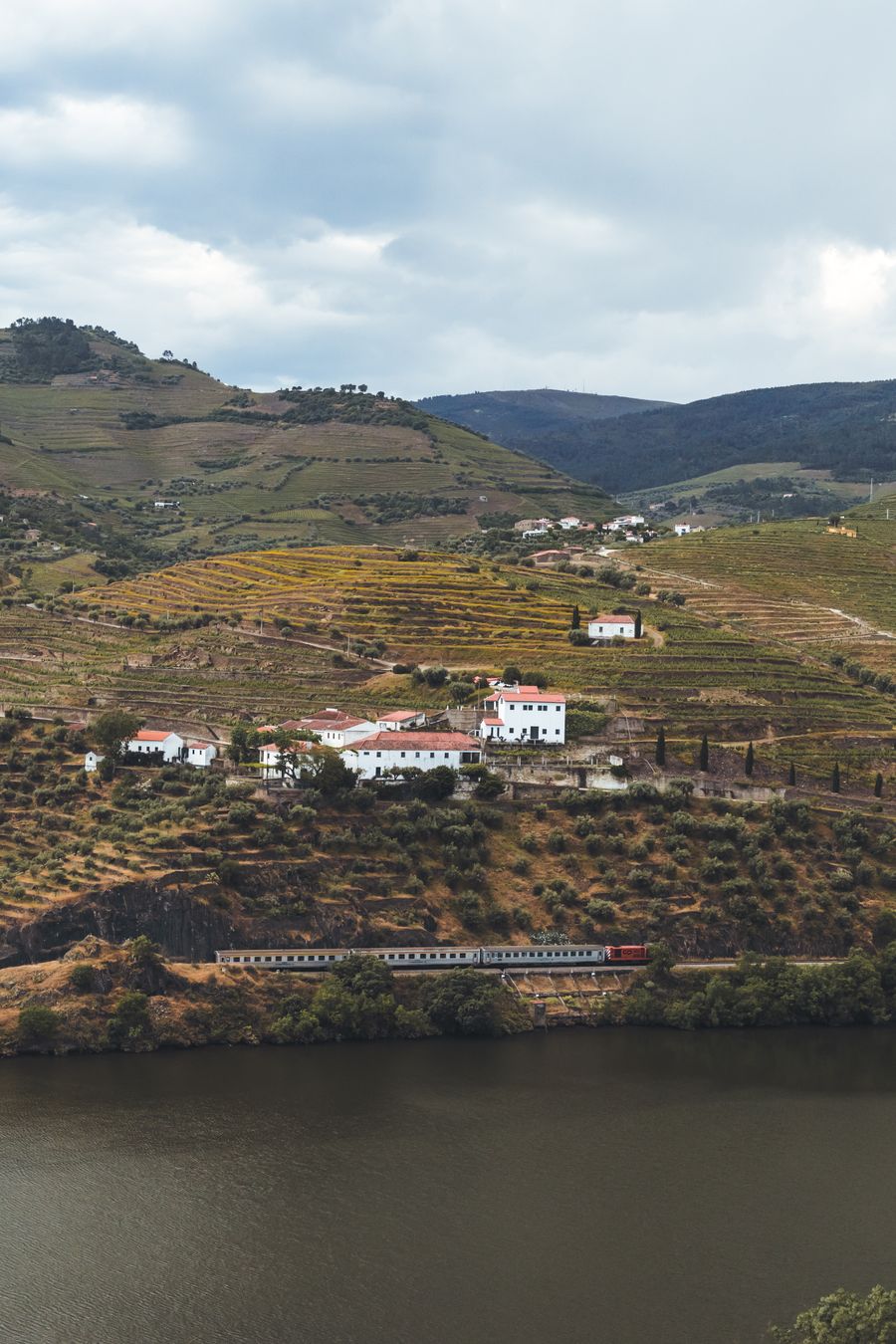 Wijnterrassen en trein in Portugal