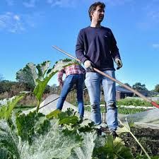 meewerkdag bij Van de Pallande