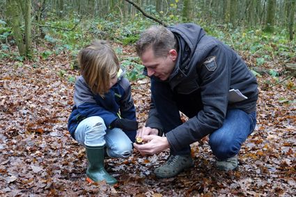 vader en kind bestuderen beestjes in een oude tak in het bos