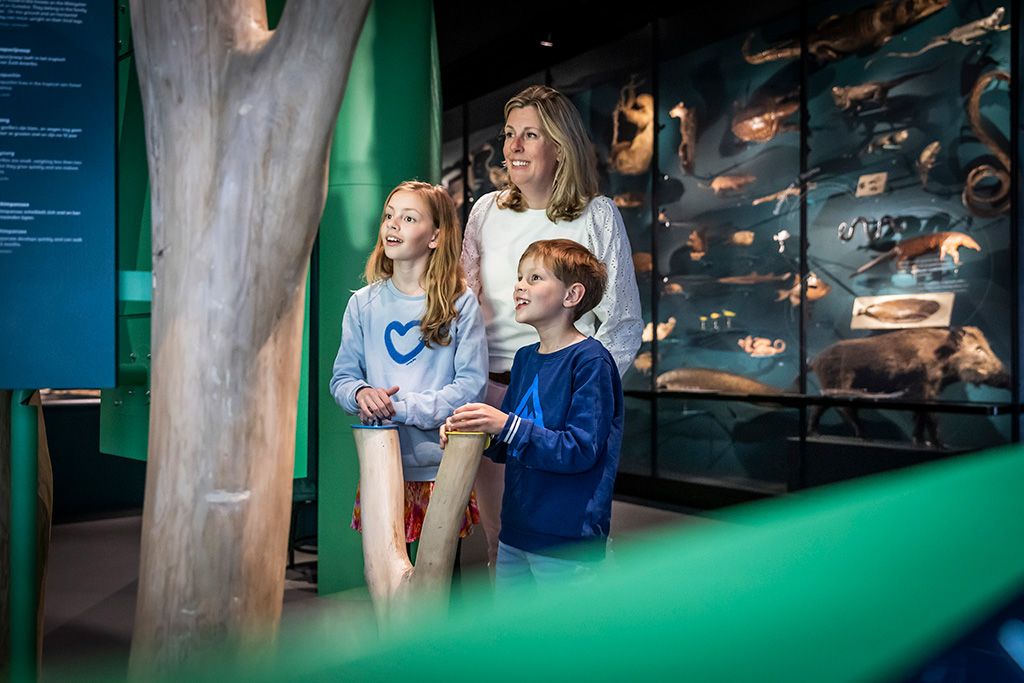 Kerstvakantie in het UMU