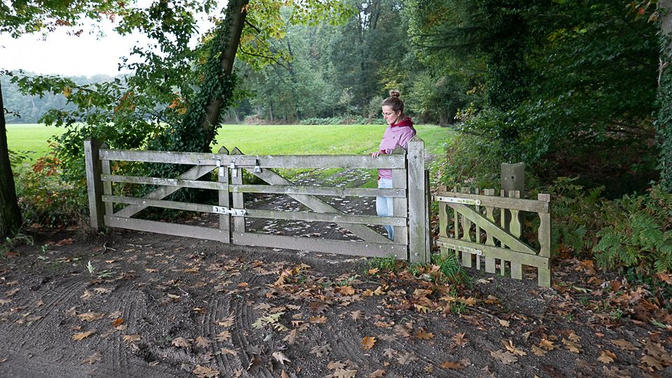 Meditatief wandelen in 't Woold