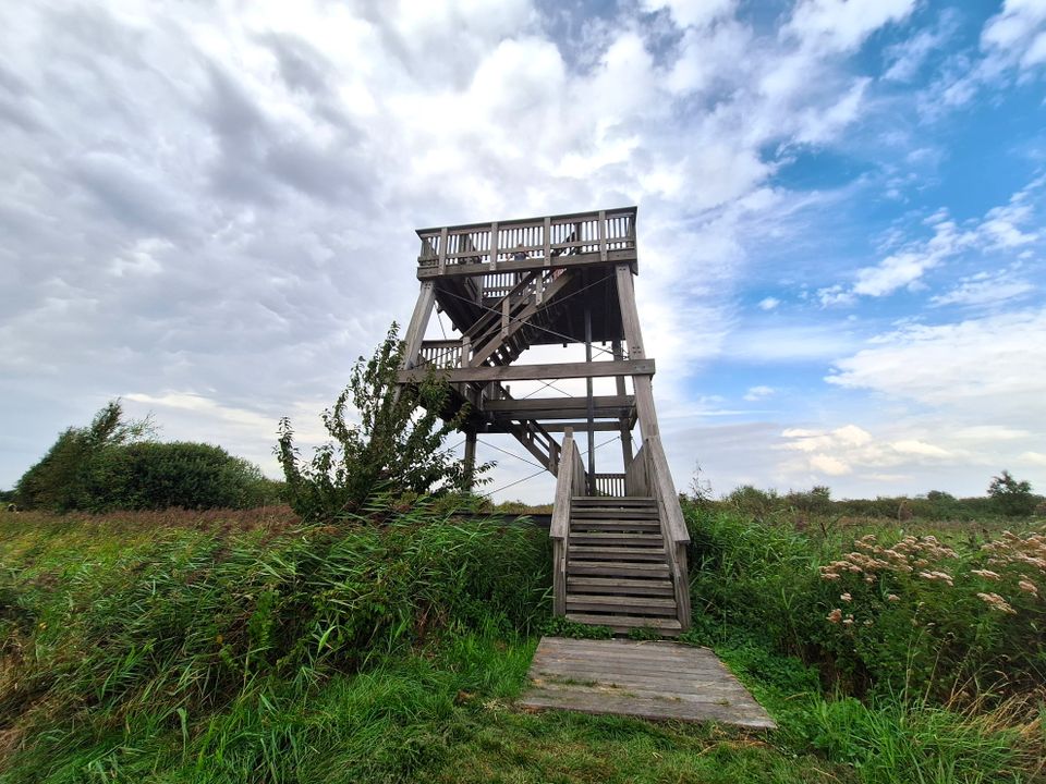 Wandelroute It Wikelslân | Nationaal Park De Alde Feanen