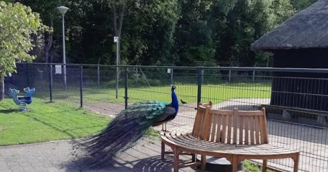 Out and about with IVN Laarbeek