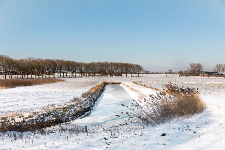 Winter in Brabant, Grave
