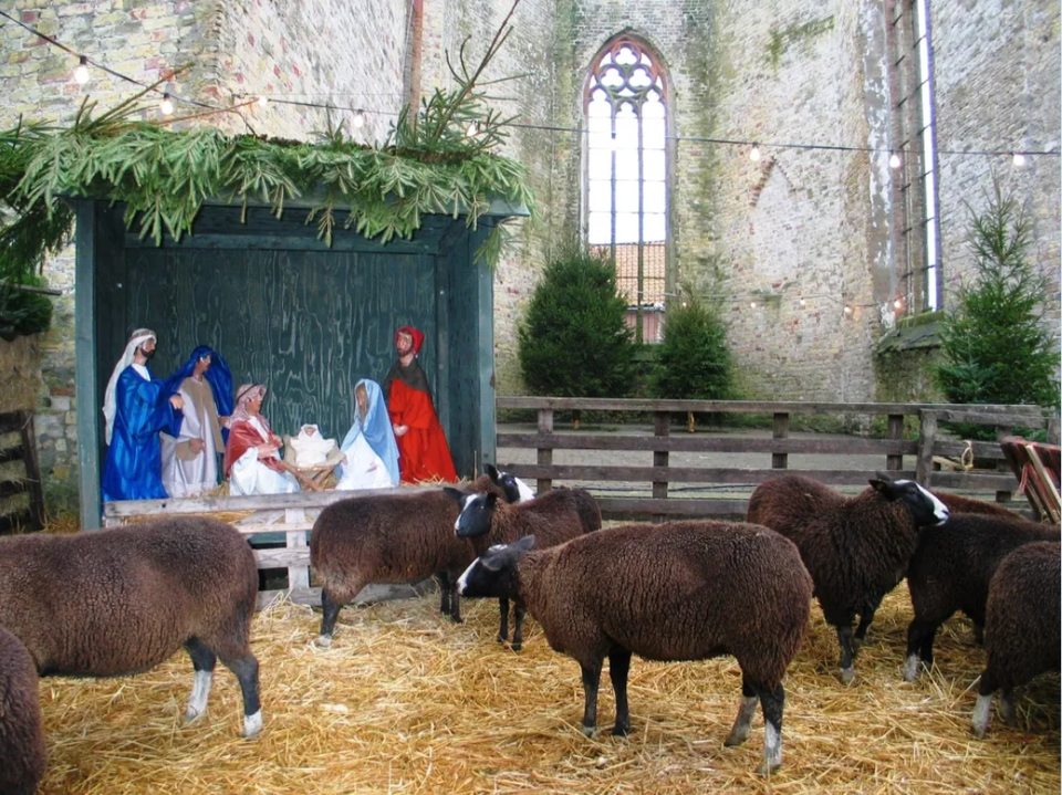 Kerststal Broerekerk Bolsward