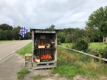 Verkoop langs de weg - courgettes en andere groenten