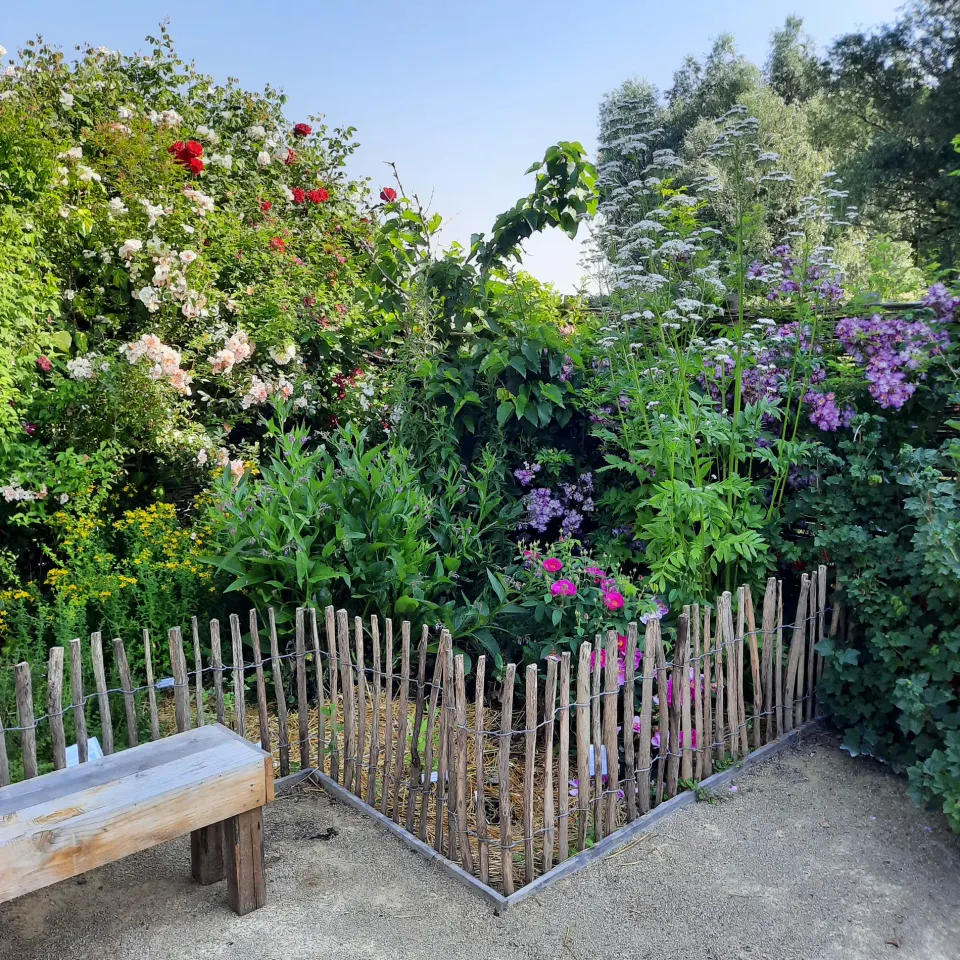 De Tovereye in de Crudehof