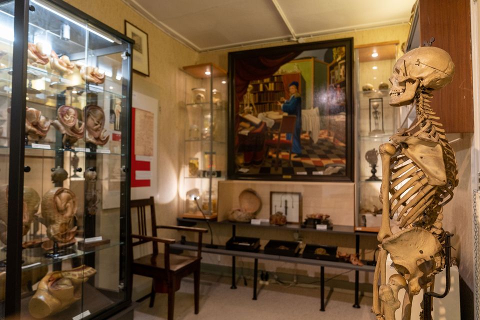 Binnen in het Medisch Museum de Griffioen met zicht op een skelet