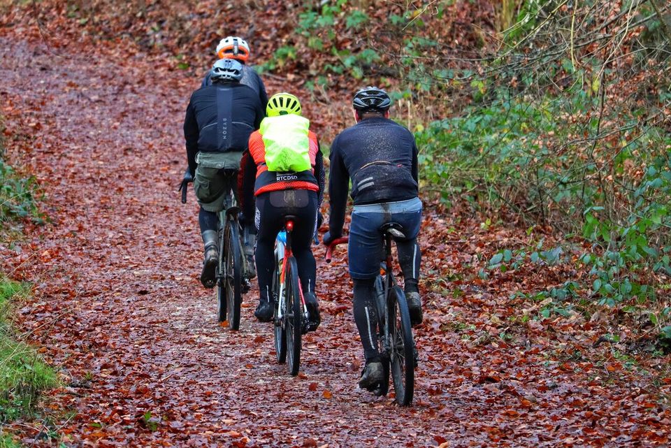 4 mountainbikers tijdens een route in het bos