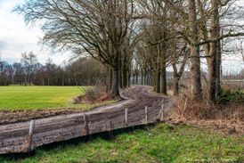Foto-expositie zandpaden