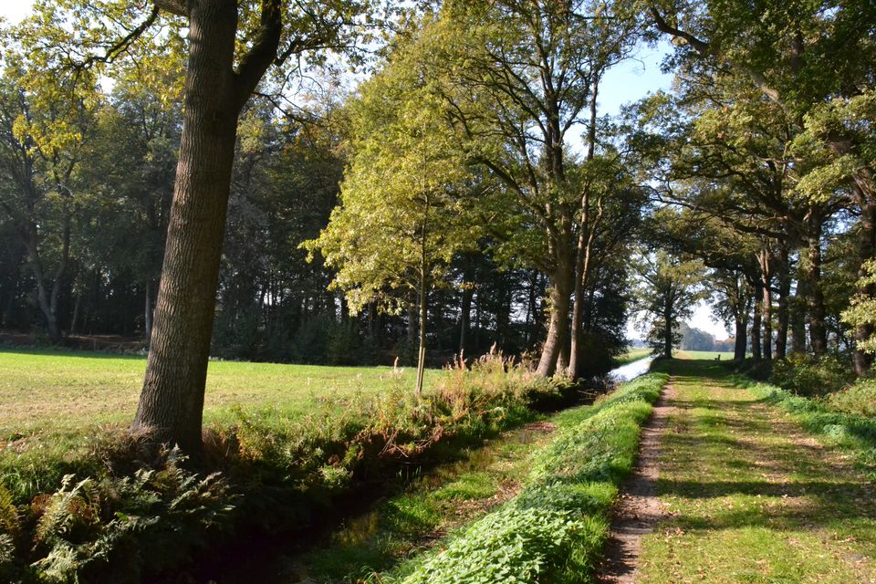 Kolonie Ommerschans Oude Zwolscheweg