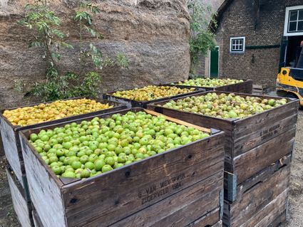 Kratten met vers fruit