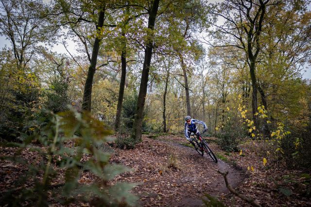 Foto van een mountainbiker die in de herfst door de bossen fietst.