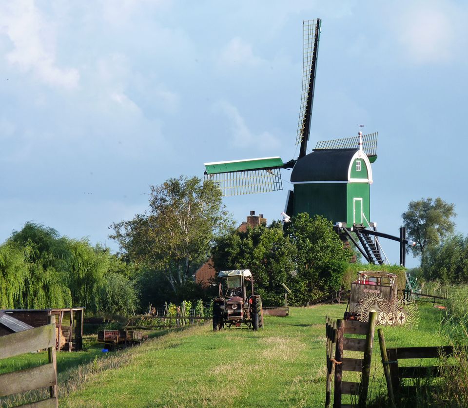 Historische poldermolen Molen Oudkoop in Reeuwijk, Groene Hart. Groene windmolen tussen weilanden, watergangen en erfbeplanting in het karakteristieke veenweidelandschap van de Reeuwijkse polders.