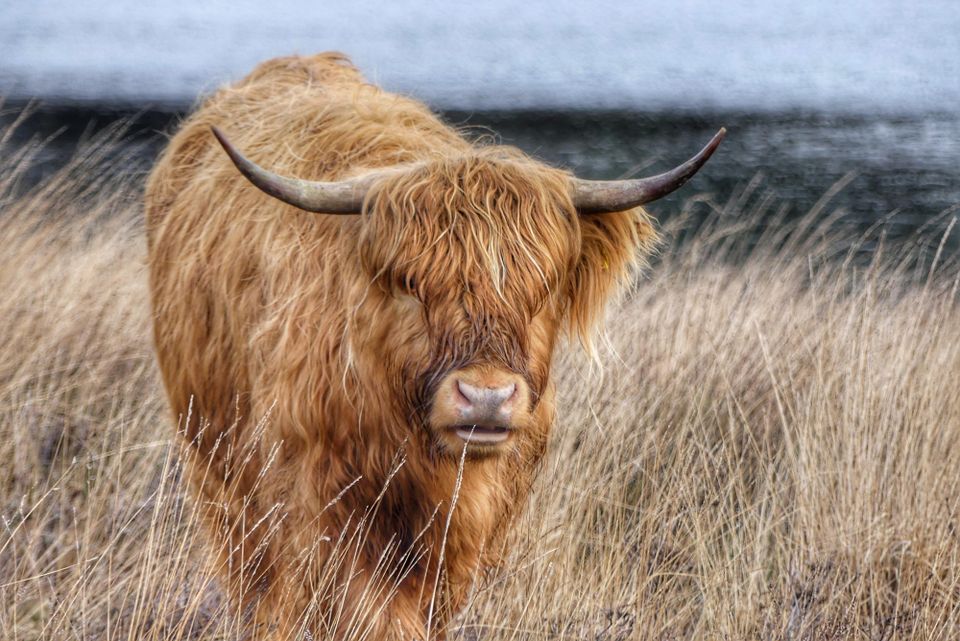 Exhibition photo club Objective Beek en Donk