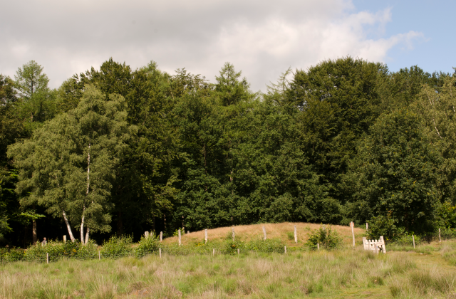 De Galgenberg, een grafheuvel in het Sleenerzand.