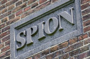 Detail Fort Spion