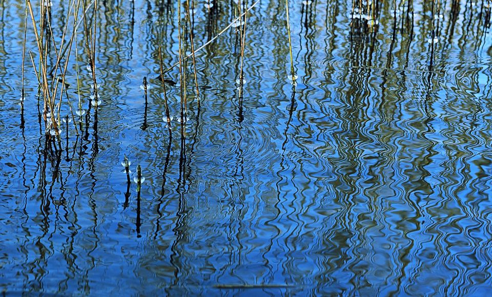 Een foto van water landschap