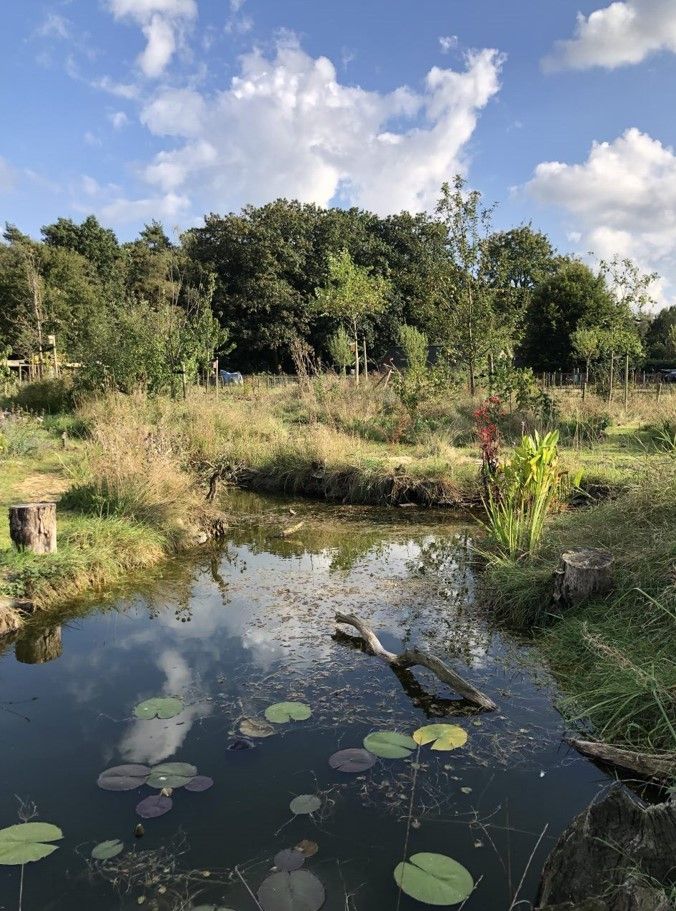 de krachtplaats