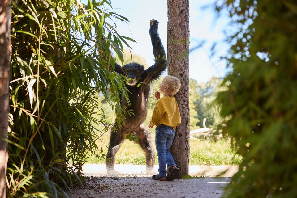 Eindhoven Zoo kind met aap