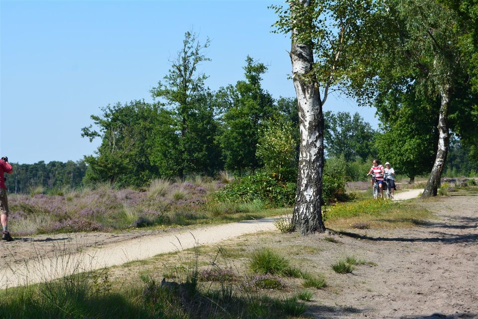 Fietsend langs de heide