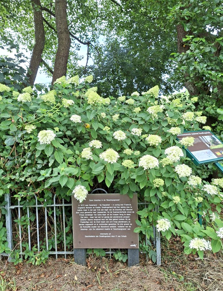 Bisschopsgraven
