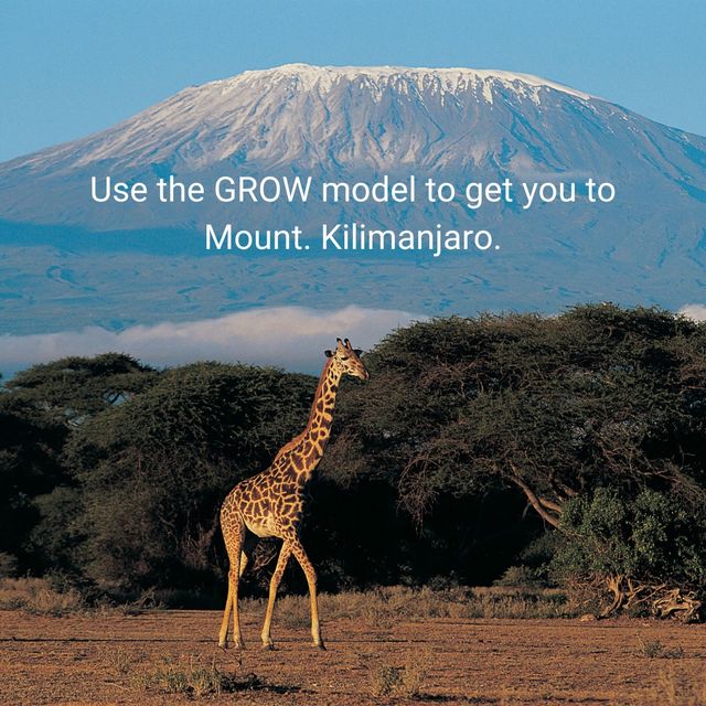 Mt Kilimanjaro Rooted in calm