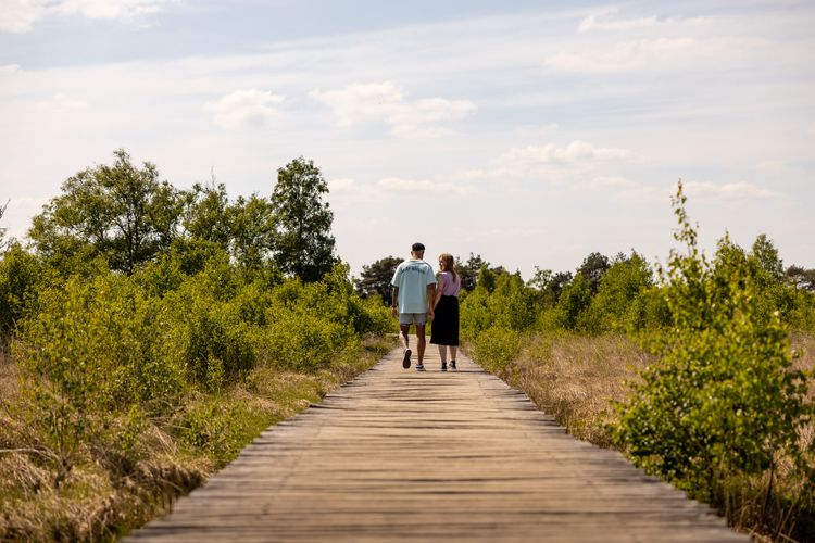Wandelen in het Land van de Peel over een vlonderpad