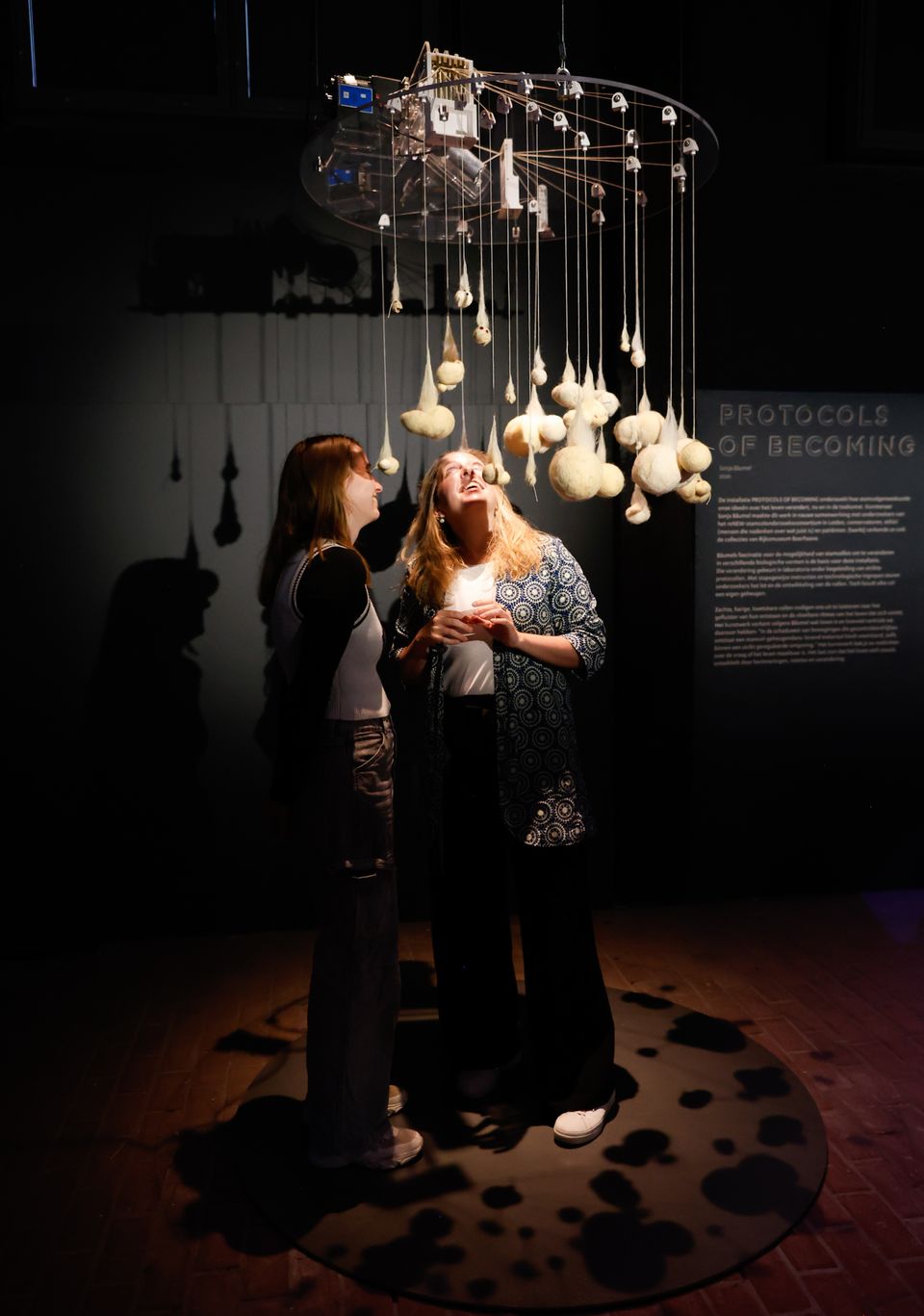 Protocols of Becoming Rijksmuseum Boerhave stamcellen kunst Sonja Bäumel