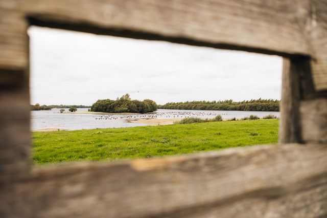 Uitgestrekt landschap met een vennetje met veel vogels.