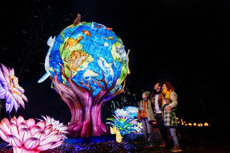 Light Safari - Safaripark Beekse Bergen 2024