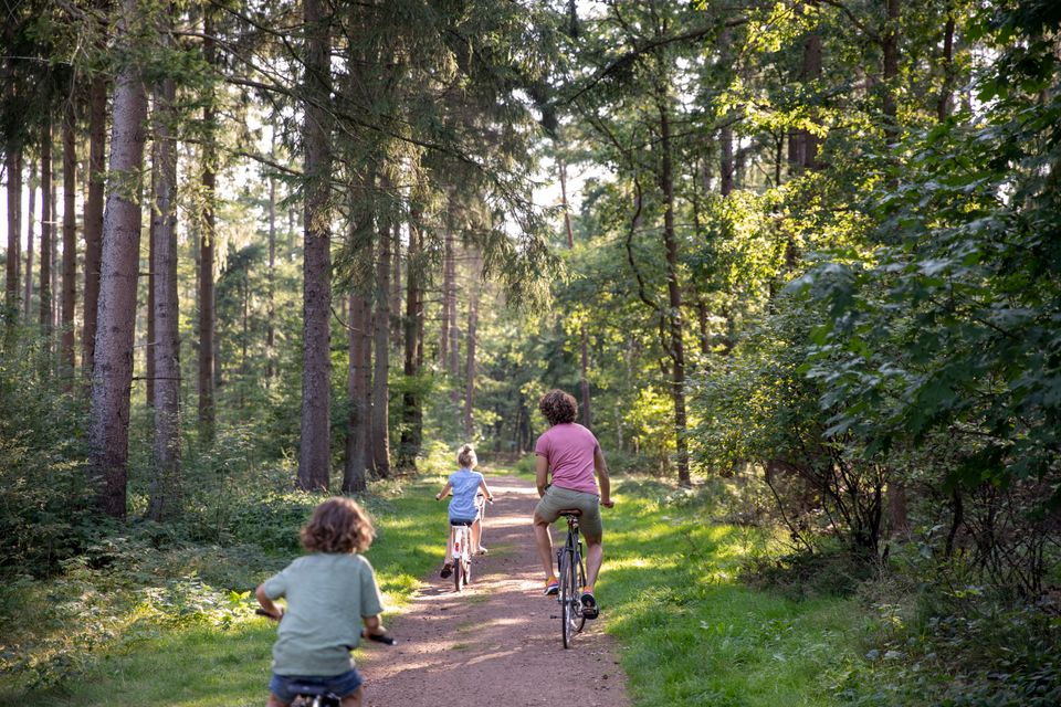 En vader fietst in de zomer met twee kinderen door het bos.