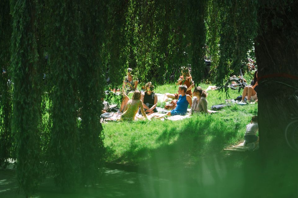 Prinsentuinconcerten Leeuwarden