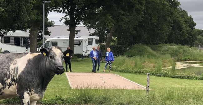 Camperparc Stee in Lhee - Photo 2