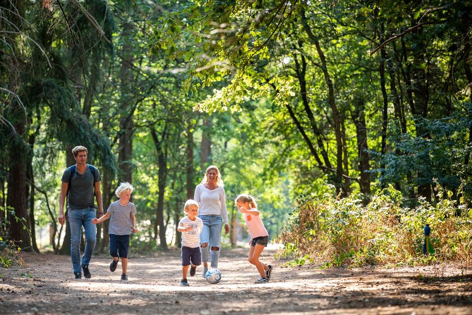 Een familie wandelt en voetbalt in het bos.