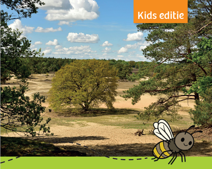 Zoem de Zandbij kids