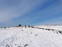 Langlaufen op de heide