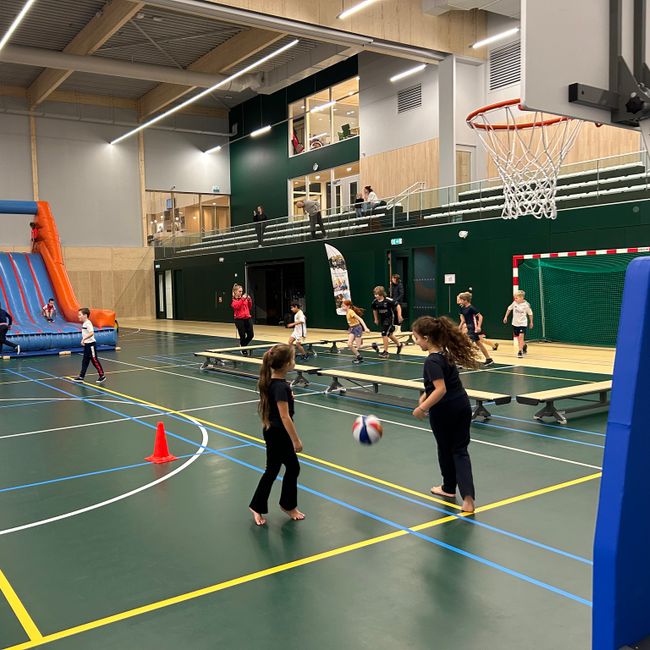Sporten