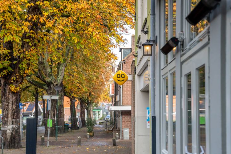 Op-Schouwen-Duiveland-Pinnen-In-Burgh-Haamstede